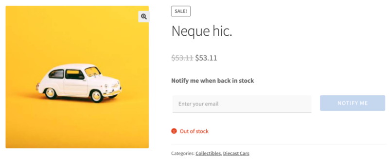 Back in stock notification signup form on a WooCommerce product page